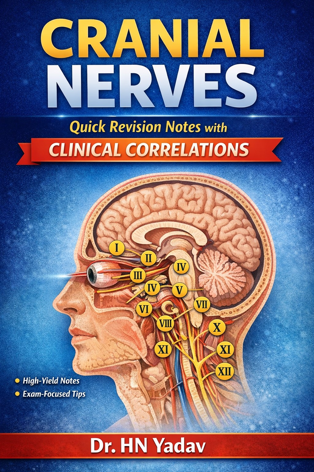 CRANIAL NERVES NOTES