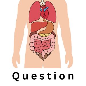 Anatomy Question Bank (MBBS-Previous year questions)