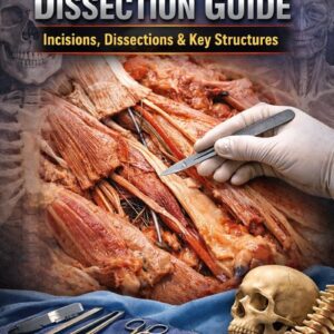 Cadaver Dissection Guide: Incisions, Dissections & Key Structures